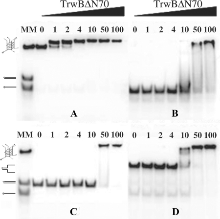 FIGURE 5.