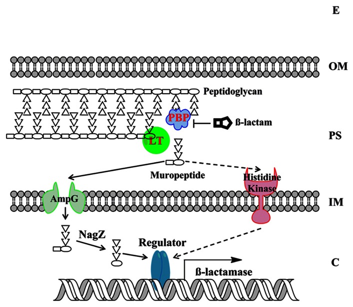 FIGURE 3