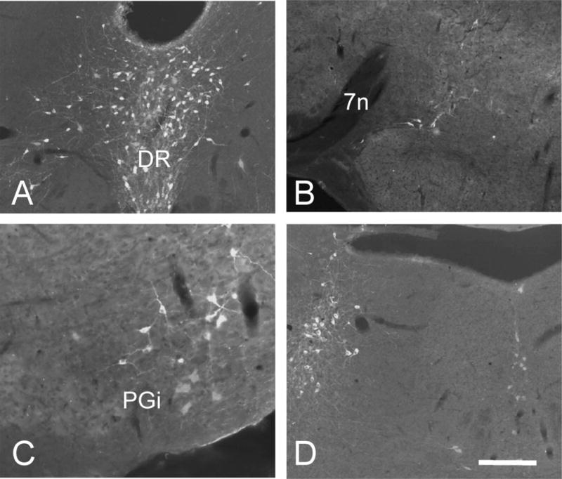 Fig. 10