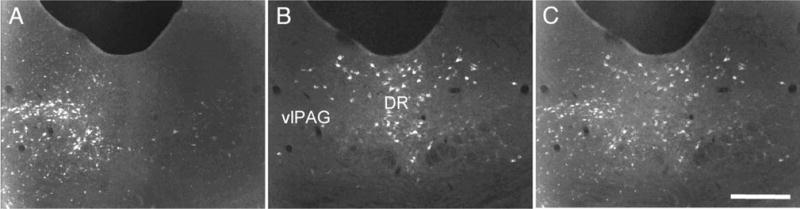 Fig. 9