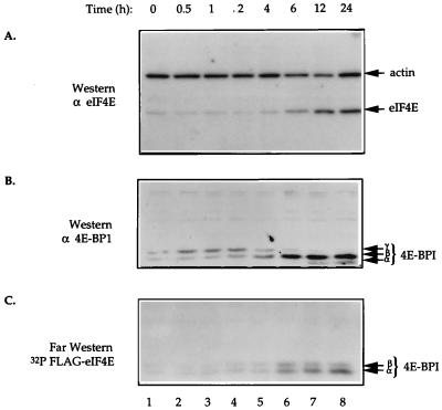 FIG. 5