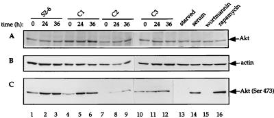 FIG. 8