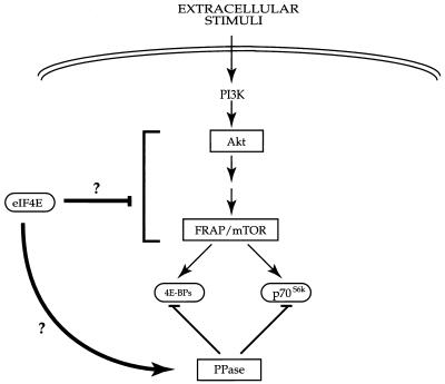 FIG. 9