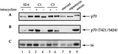 FIG. 7