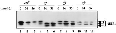 FIG. 6