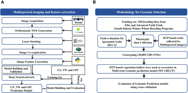 Figure 2