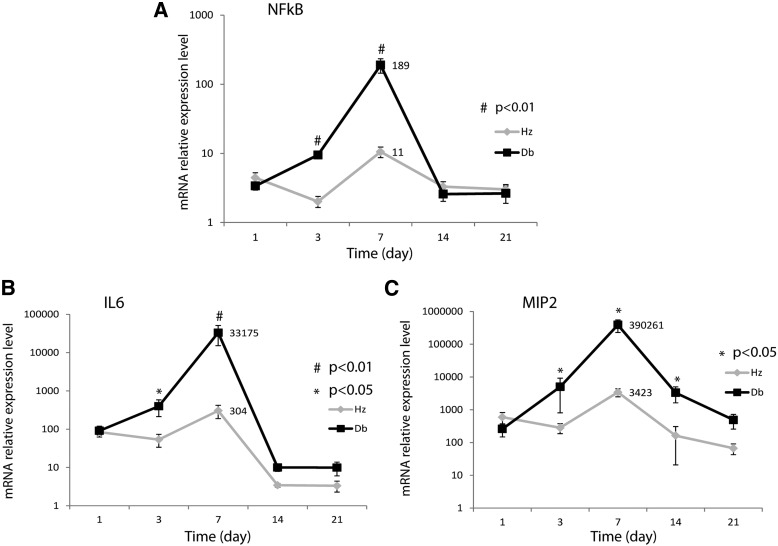 FIG. 3.