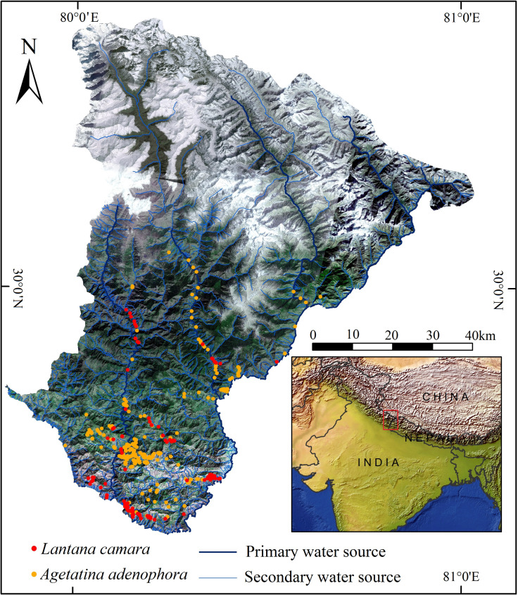 Fig 1