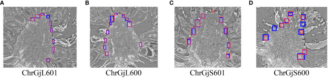 Figure 4