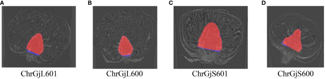 Figure 5