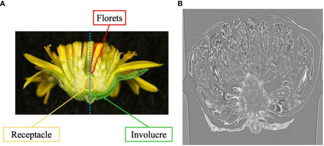 Figure 1