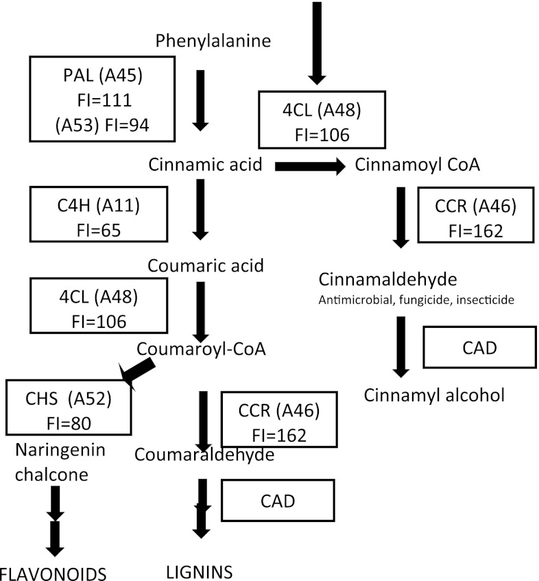 Fig. 4