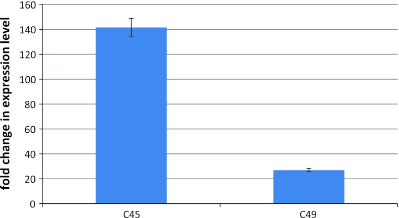 Fig. 2