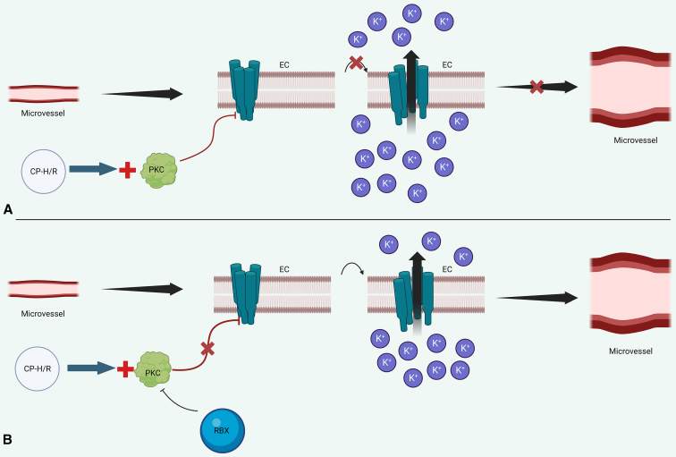 Figure 6