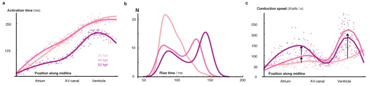 Figure 2—figure supplement 2.