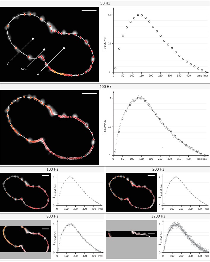 Figure 1—figure supplement 3.