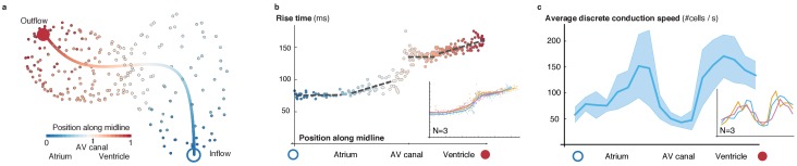 Figure 1—figure supplement 4.