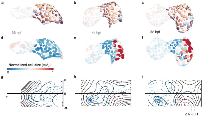 Figure 2—figure supplement 3.