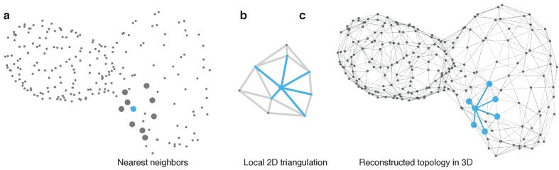 Figure 1—figure supplement 5.