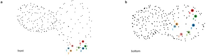 Figure 1—figure supplement 7.