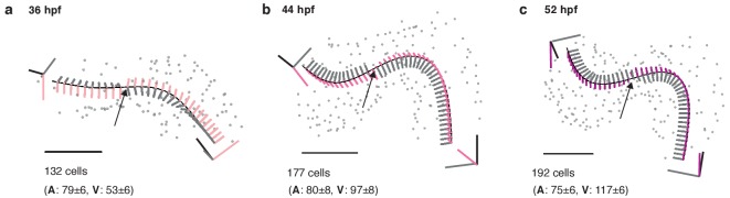 Figure 2—figure supplement 1.