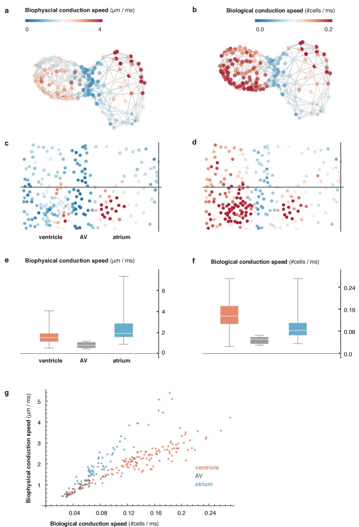 Figure 1—figure supplement 6.