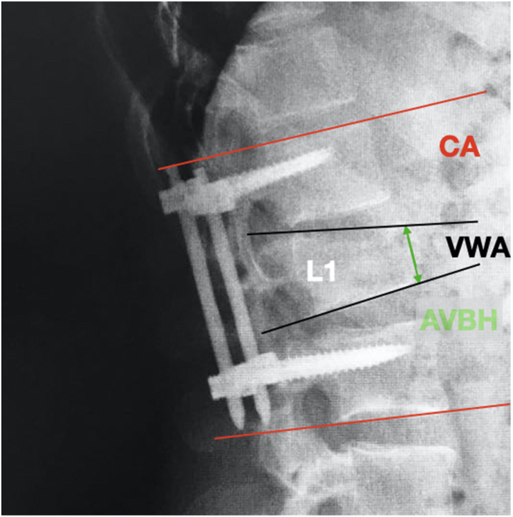 Fig. 2