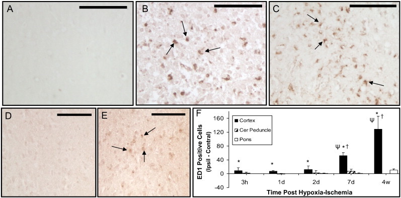 Fig. 6