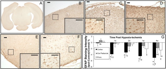 Fig. 5