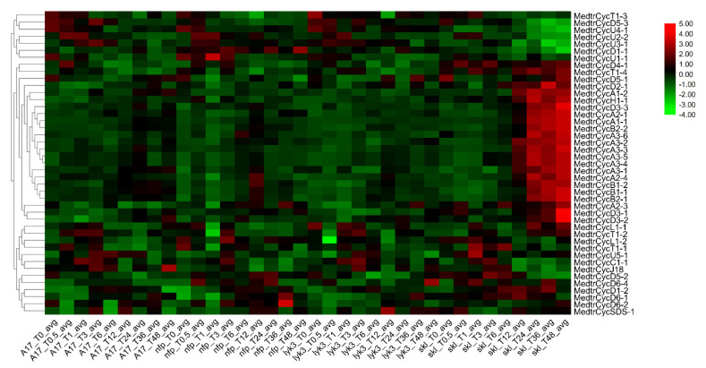 Figure 5