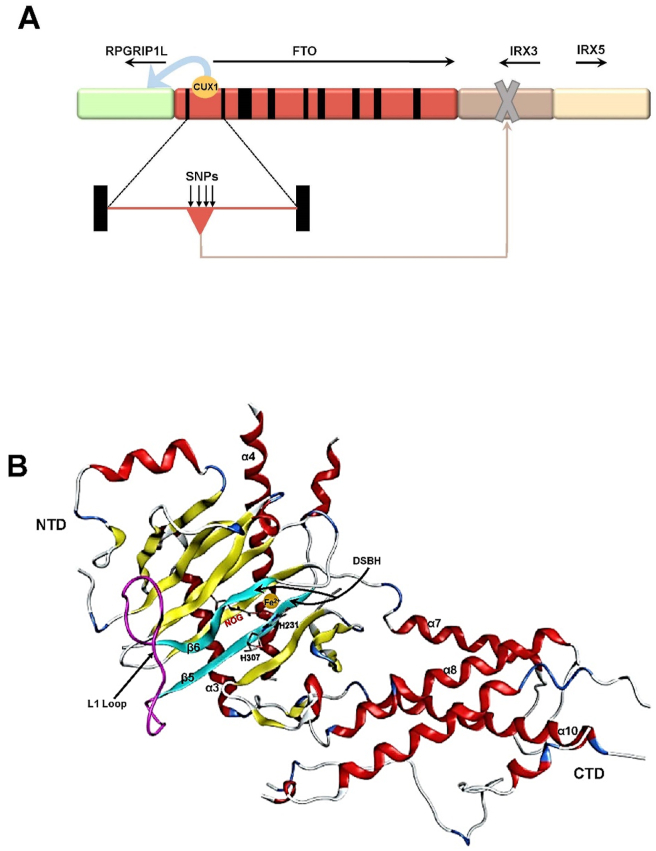 Figure 1