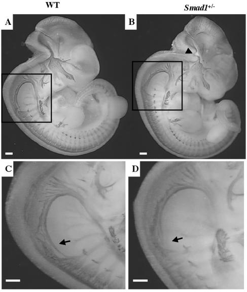 FIG. 7.