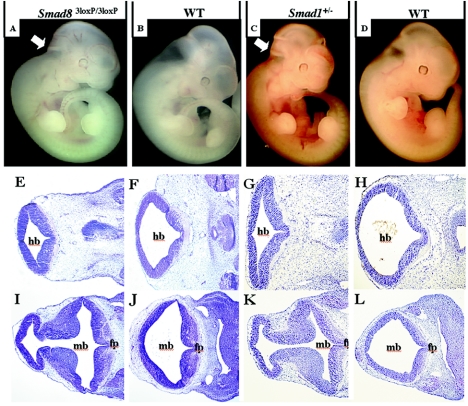 FIG. 5.