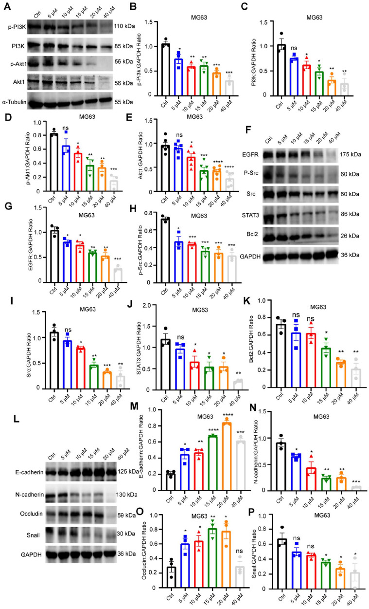 Figure6.