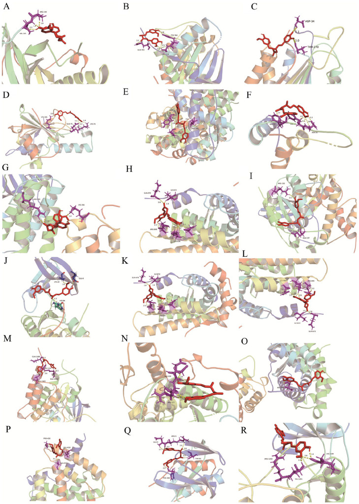 Figure 3.