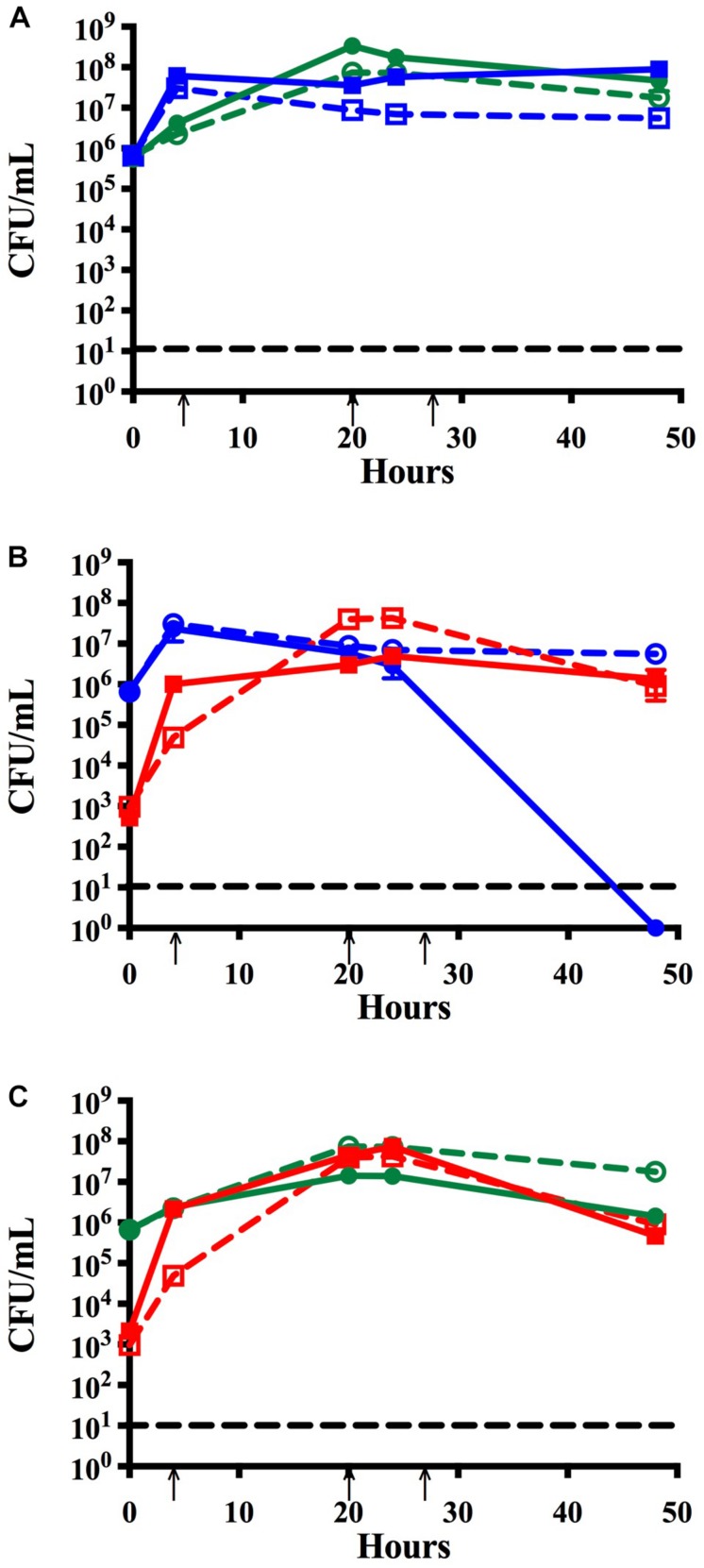 FIGURE 1