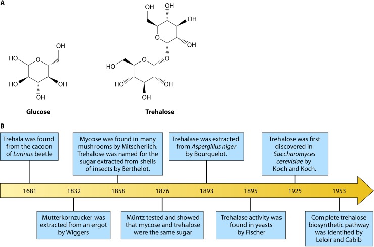 FIG 1