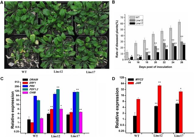 FIGURE 3