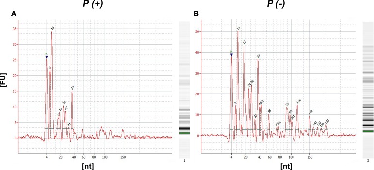 Fig 7