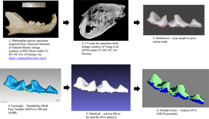 FIGURE 1