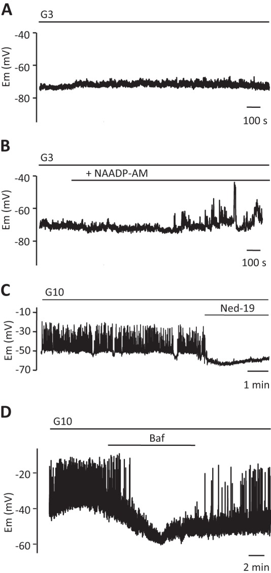 FIGURE 4.