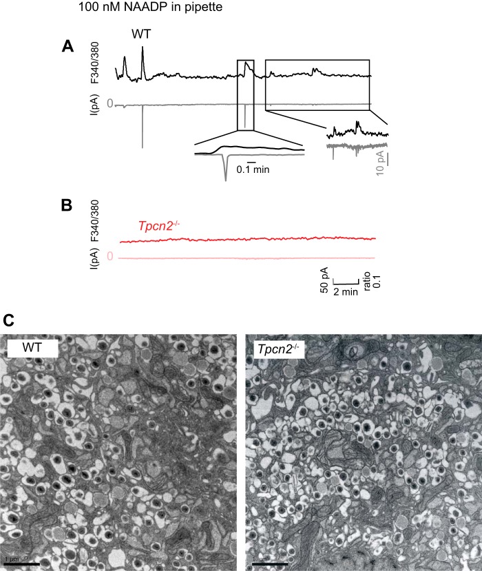 FIGURE 7.