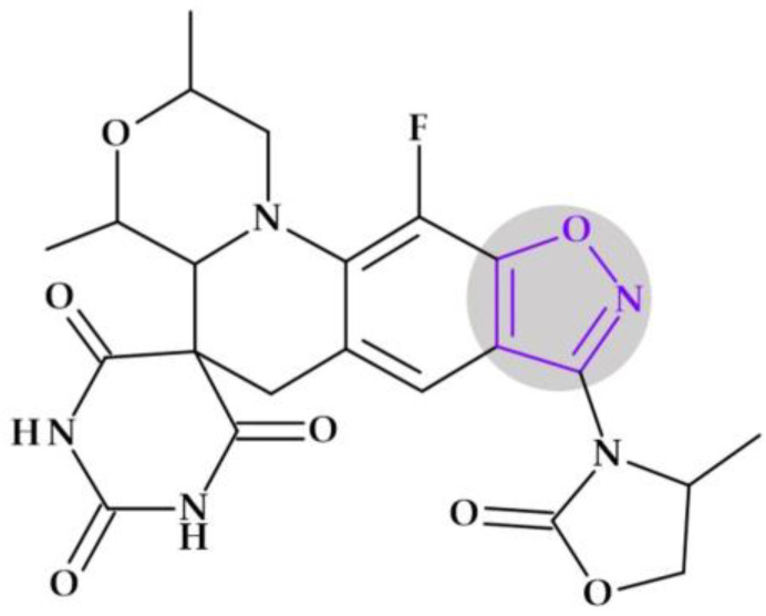 Figure 24