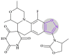 Figure 24
