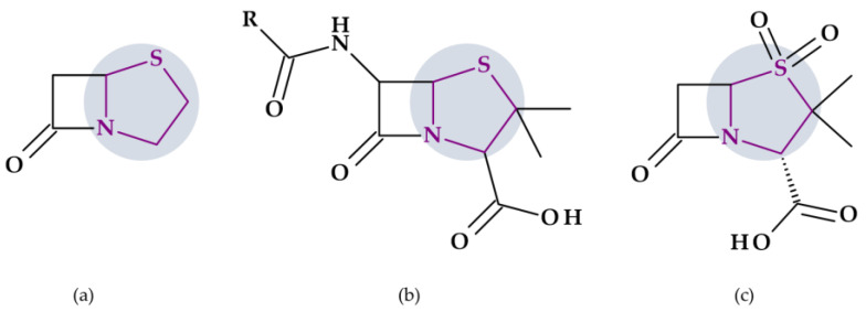 Figure 28