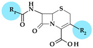 graphic file with name pharmaceutics-15-02554-i014.jpg