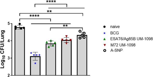 Fig. 11