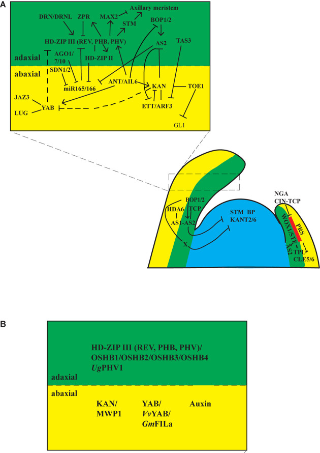 FIGURE 2