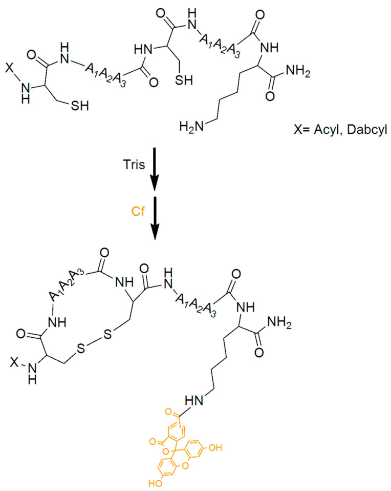 Scheme 3