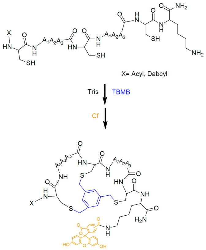 Scheme 1